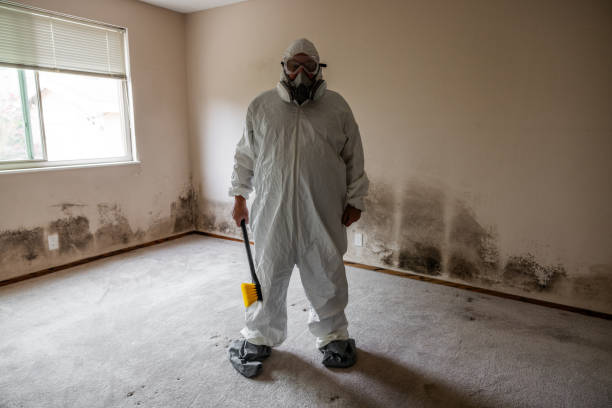 Best Mold Cleaning Services  in Allendale, CA